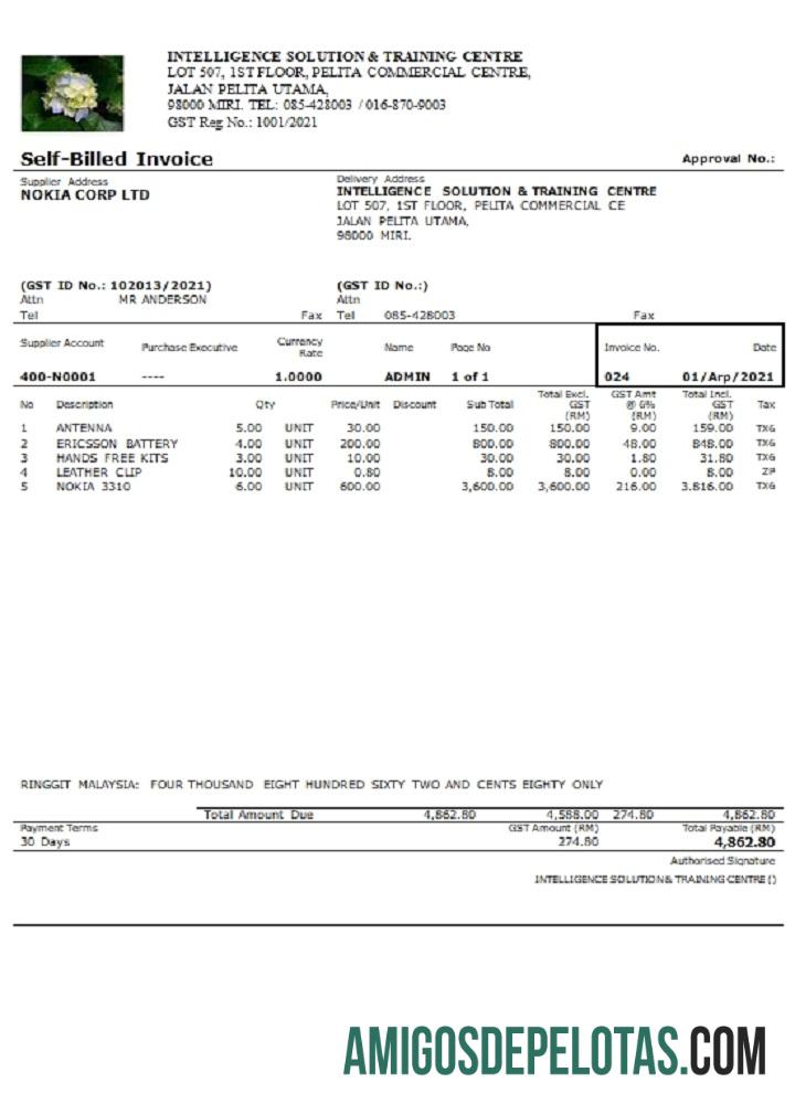 Fatura automática do centro de treinamento e solução de inteligência da Malásia baixar para verificação